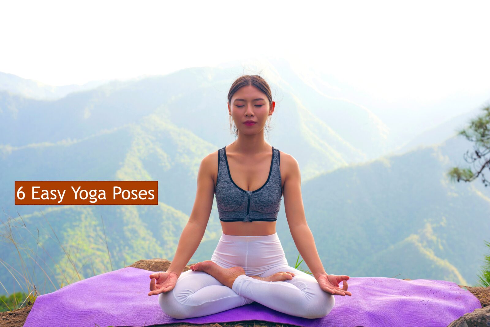 6 Easy Yoga Poses