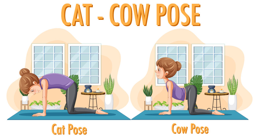 Cat-Cow Pose