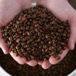 Robusta Coffee Is Growing Fast But Is It Stronger for Your Heart and Sleep