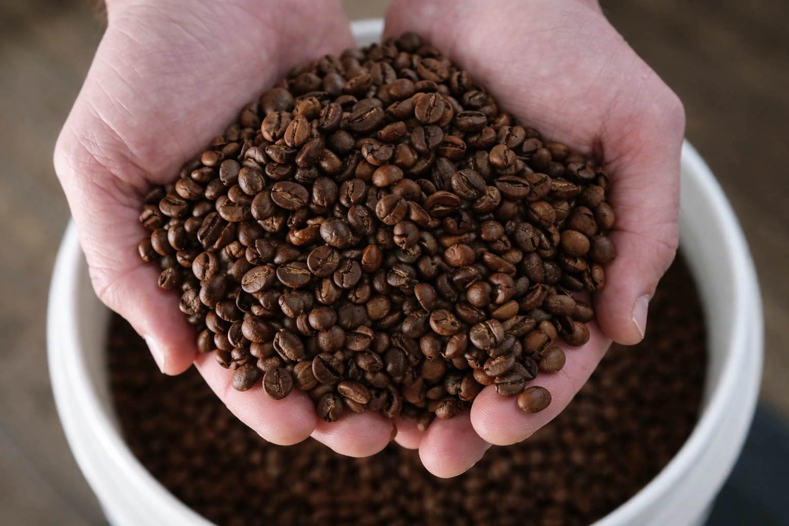 Robusta Coffee Is Growing Fast But Is It Stronger for Your Heart and Sleep