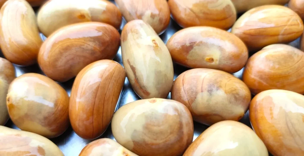 Jackfruit Seeds benefits