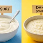 Yogurt vs Curd 5 Powerful Benefits, Side Effects, Best Time to Eat & Smart Choices for Better Digestion and Gut Health Daily Guide