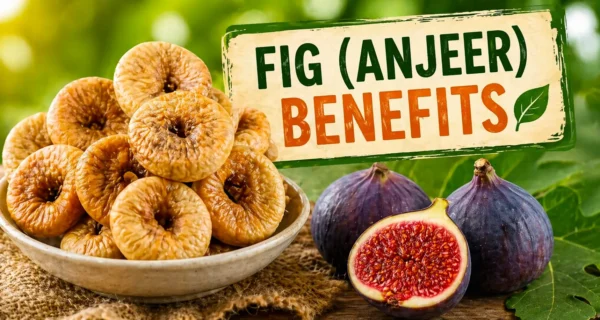 fig anjeer benefits for digestion